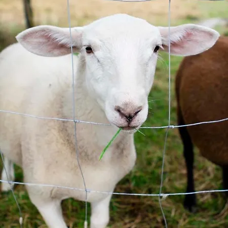 Landapartments Smitmans شقة فندقية