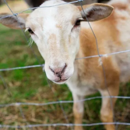 Landapartments Smitmans شقة فندقية