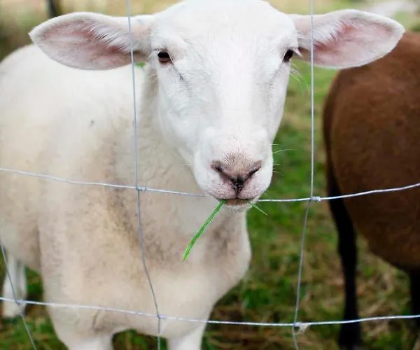 Landapartments Smitmans Aparthotel